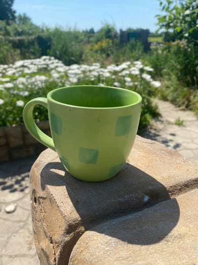 A light green ceramic mug with darker green square patterns sits on a textured, light brown stone surface. The mug is positioned on the left side of the frame, casting a shadow to its right. In the background, a blurred scene depicts a garden with a paved path, green foliage, and a dense field of white flowers. The sky above is clear and blue. The location is identified as Vasylkiv, Ukraine.