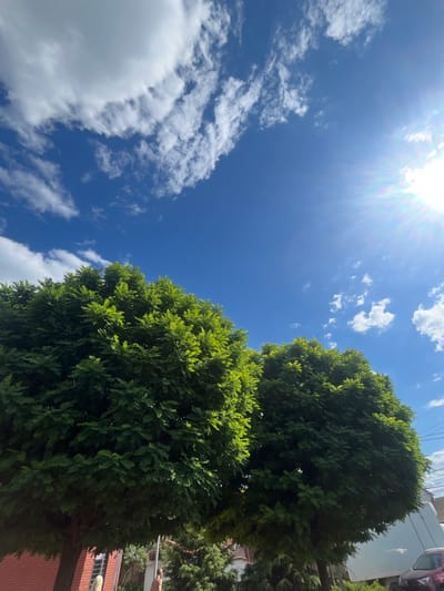 The image displays a sunny day in Kryzhanivka, Ukraine. Two large, leafy green trees dominate the foreground, their dense foliage reaching towards a vibrant blue sky filled with scattered white clouds. The sun is bright and positioned in the upper right portion of the frame, casting a lens flare that streaks across the sky. In the background, glimpses of urban elements are visible, including a brick building on the left and what appears to be a white truck or van and a red car on the right. A utility pole with wires is also present. Partially visible in the lower left of the image, beneath the trees, are two individuals. One person, appearing to be a woman with blonde hair, is standing near a brick wall. The other individual, a man, is standing further back and is shirtless. The scene suggests a typical outdoor environment in a residential or semi-urban area.