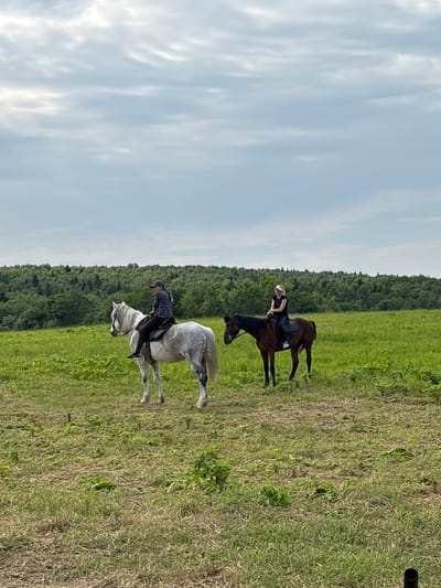 Two individuals are horseback riding in a grassy field with a treeline in the background. The individual on the left is riding a white horse and is wearing a plaid shirt and a baseball cap. The individual on the right is riding a brown horse and is wearing a black shirt and a visor. The sky is overcast with scattered clouds. The location is Semenkovo, Russia.