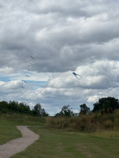 The image captures a scenic view of a park with a winding gravel path leading through grassy areas and dense vegetation. The sky is overcast with dramatic clouds, and several kites are flying. A blue octopus-shaped kite is prominently positioned in the upper right quadrant, while a string of smaller, dark kites is visible in the upper left. The foliage suggests a natural, semi-wild parkland setting. This scene is likely located in the Borough of Swale, United Kingdom, known for its expansive green spaces and coastal areas where kite flying is a popular activity.