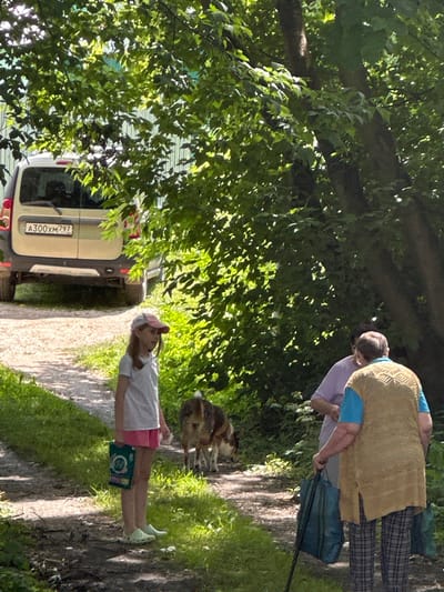In Ерино, Russia, on a sun-dappled dirt path bordered by green grass and lush foliage, a young girl with brown hair, wearing a pink baseball cap, a white t-shirt, and pink shorts, stands holding a green box. To her right, a dog with brown and white fur is grazing. Further down the path, two adults are conversing. One, from the back, is wearing a light purple shirt and grey pants, while the other, also seen from the back, is dressed in a blue shirt, a tan knitted vest, and plaid pants. This individual is holding a cane and a teal bag. In the background, a light-colored van with the license plate "A300XM 797" is parked on the left side of the path. A green fence is visible behind the van. The overall scene depicts a casual outdoor gathering in a semi-rural or suburban setting.
