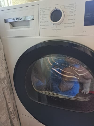 The image shows a Bosch washing machine in what appears to be a residential setting, possibly in Pervomaisk, Ukraine. The washing machine is white with a dark gray door and control panel. The control panel has a dial and several program selection options, some of which are in Cyrillic script. A loading door is visible, and through the glass, some blue laundry can be seen inside. To the left of the washing machine, a lace curtain is partially visible. The overall lighting suggests an indoor environment, possibly a laundry room or bathroom. There are no people clearly visible in the scene, though a leg and foot are discernible through the washing machine door.