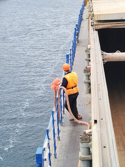 A person wearing an orange hard hat and a bright orange life vest stands on the deck of a ship, holding a thick rope. The person is wearing dark pants and dark shoes. The ship's deck has a blue railing along the edge. To the right of the deck is a large, open cargo hold with wooden planks. The sea, with visible ripples, surrounds the ship. The image appears to be taken from a higher vantage point, looking down on the scene. The location is identified as Shal'skii, Russia.