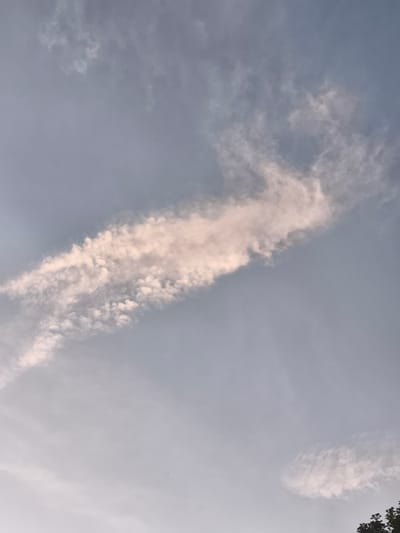 A low-angle, outdoor, portrait-oriented shot captures a pale blue sky with wispy white clouds. A prominent, elongated cloud formation stretches diagonally across the frame from the lower left to the upper right. This cloud appears illuminated by sunlight, with its edges softly diffused and its texture a mix of fine strands and denser clumps. The sky itself is a muted, almost hazy blue, suggesting either early morning, late afternoon, or overcast conditions. In the lower right corner, the dark, silhouetted branches of a tree intrude into the frame, their leaves indistinct against the sky. The image is devoid of any people or discernible objects within the sky itself, with the exception of the cloud formations. The setting, identified as Eitorf, Germany, is not visually represented in this sky-centric composition.