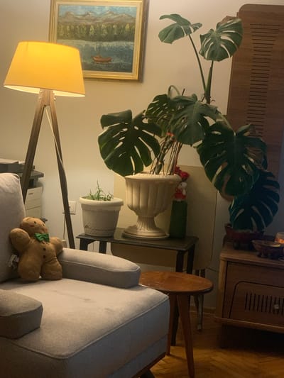 The image shows a cozy living room scene, possibly in Avcılar, Turkey. In the foreground, a light gray armchair is partially visible, with a stuffed gingerbread man wearing a green bow tie resting on its armrest. To the left, a wooden floor lamp with a yellow shade casts a warm glow. Behind the armchair, a printer is partially visible. A small, potted plant sits on a dark, rectangular side table next to a large, ornate vase containing a monstera plant. A smaller potted plant is beside it. A framed painting of a lake with mountains and a boat hangs on the wall above the lamp. To the right of the monstera, a tall, dark brown wooden cabinet with slatted doors is visible. A small, round wooden side table with carved details is positioned between the armchair and the cabinet. The overall ambiance is one of comfort and homey decor, with natural light from the lamp illuminating the scene.