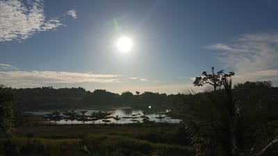 This is a landscape photograph taken in Uruekanoe, Indonesia, featuring a bright sun high in the sky on a clear day. The sun casts a glare across the scene. In the foreground, there is lush green vegetation and tall palm fronds obscuring the lower right portion of the image. A body of water, likely a lake or pond, is visible in the mid-ground, with several small, evenly spaced trees growing within or along its edges, their reflections shimmering on the water's surface. Beyond the water, a dense line of trees and hills forms the horizon, silhouetted against the bright sky. Scattered white clouds drift across the blue expanse. A faint contrail from an aircraft is visible in the upper right quadrant of the sky. The overall impression is one of a serene natural environment bathed in the light of a sunny day.