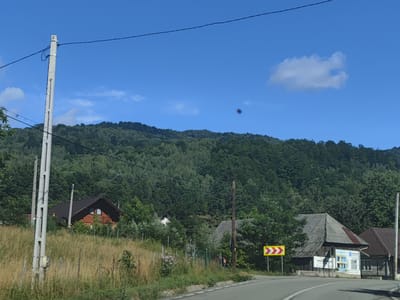 This is a wide shot of a rural scene in Leordina, Romania, on a sunny day. The foreground shows a paved road curving to the right. To the left of the road, a tall, grey concrete utility pole stands in a field of dry grass. Behind the pole, a wooden house with a dark roof and a triangular window is partially visible. Further back, a dense, green forest covers a hillside that dominates the background. Several other structures, including a small building with a grey, sloped roof and a billboard, are visible amongst the trees and grass. A yellow and red directional sign is posted near the road, indicating a sharp curve. The sky is a clear blue with a few scattered white clouds. A dark, blurry object is present in the sky, possibly a bird or a lens artifact.