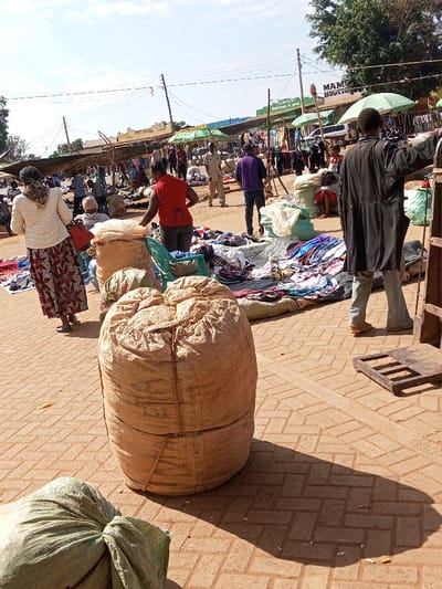 This image captures a bustling open-air market scene in Mukuyuni, Kenya, under a bright, sunny daytime sky. The ground is paved with reddish-brown interlocking bricks, exhibiting distinct shadows cast by individuals and objects.
In the immediate foreground, a large, tan, cylindrical woven sack, approximately 0.8 meters in height and secured with a rope, stands centrally. Partially visible in the lower-left is a green woven sack.
Several individuals populate the mid-ground. To the left, a female figure, facing away from the camera, wears a long patterned skirt, a light quilted jacket, and a headscarf, carrying a red shoulder bag. Centrally, another female in a red top and dark pants leans over a pile of merchandise, positioned near a light green plastic chair. To the right, a male figure in a dark long-sleeved garment and light trousers stands beside a dark metal frame, possibly a weighing scale, with his back to the viewer.
Numerous other people, estimated between 15-20, are visible further into the market, engaged in various activities such as standing, observing, and handling goods. Merchandise, primarily clothing and textiles, is spread out on dark tarpaulins or directly on the ground. The market features temporary stalls with makeshift roofs, likely tarpaulins or fabric, supported by wooden poles. Several green market umbrellas are also present, providing shade.
In the background, single-story commercial buildings line the market perimeter. A prominent sign for "MAMBO BOUTIQUE" with green lettering is visible on one building's fascia. Other partially visible signs suggest "SUPERMARKET." Multiple wooden utility poles with overhead power lines span across the upper portion of the scene. Green foliage from trees is discernible under a partly cloudy sky in the far background.