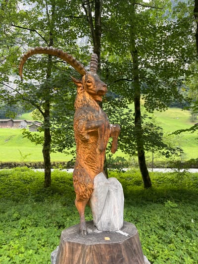 A wooden sculpture of an ibex stands on a tree stump in the foreground. The ibex is carved to appear as if it is standing on its hind legs, with its front legs raised. The sculpture is detailed, with visible wood grain and texture. Behind the sculpture, a lush green meadow slopes upwards, dotted with traditional Swiss chalets. A small river flows through the scene, and dense green trees line the background. The overall impression is of a serene and picturesque mountain landscape. The scene is located in Wengen, Switzerland.