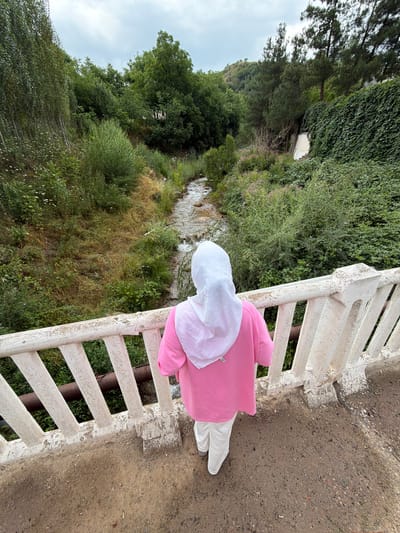 An outdoor, eye-level shot shows a person wearing a pink hijab and a pink tunic, white pants, and white sneakers standing on a bridge. The person is facing away from the camera and looking down at a stream. The stream runs through a rocky, overgrown ravine. The ravine is covered with trees and foliage on both sides. The sky is overcast.
