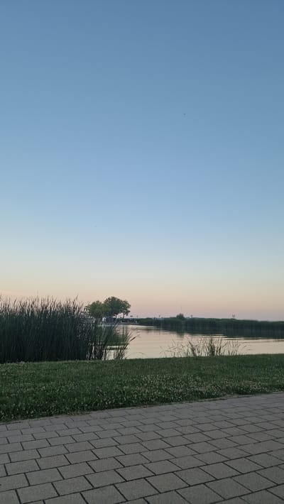 The image depicts a calm lake or bay in Keszthely, Hungary, during what appears to be dusk or dawn. In the foreground, a paved walkway made of grey rectangular bricks runs horizontally across the bottom of the frame. Adjacent to the walkway is a strip of green grass, with scattered small white flowers. Beyond the grass, tall, dark green reeds or cattails line the edge of the water. The lake is calm with gentle ripples reflecting the soft, pastel hues of the sky, which transitions from a clear, pale blue at the top to a faint pink and orange near the horizon. Across the water, a distant shoreline is visible, dotted with more reeds and a few trees, including a cluster of three prominent green trees on a small promontory. Structures that might be docks or small buildings are faintly discernible on the opposite bank. The overall atmosphere is serene and tranquil. There are no people or animals visible in the scene.