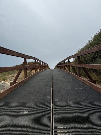 A wooden footbridge with dark, ribbed decking curves upwards into an overcast sky in Courtown, Ireland. The bridge is bordered by wooden railings and traverses a natural landscape with rocks and vegetation. The sky is a pale, uniform gray, with a small dark object, possibly a bird, visible in the upper left quadrant. The overall scene is one of a utilitarian structure integrated into a coastal environment.