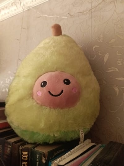 A plush avocado toy with a smiling face sits on top of a stack of books, which are leaning against a wall with patterned wallpaper. The toy is light green with a pinkish-orange center depicting the face. The books are of various sizes and colors, some with visible titles. The overall lighting suggests an indoor setting. The image location in the city of Voskresenskiy, Russia, is provided as context but not visually represented in the image itself.
