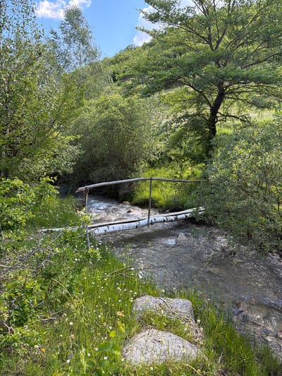 The image depicts a small, rustic wooden bridge constructed from logs and branches spanning a shallow, clear stream. The stream flows over rocks and pebbles, with visible ripples and currents. Lush green vegetation, including trees, bushes, and tall grass dotted with small white wildflowers, surrounds the stream and the bridge. The scene appears to be in a natural, undeveloped area, likely a park or forest. The sky above is blue with scattered white clouds. This image does not contain any information about the city of Biisi, Georgia.
