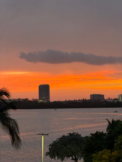 This is a wide shot of a coastal city at dusk, likely Bal Harbour Village, Florida. The sky is a gradient of soft grays and vibrant oranges from the setting sun, with a few dark clouds scattered across the horizon. A large body of water occupies the lower half of the frame, reflecting the sky's colors. In the middle ground, a treeline separates the water from the city skyline, which features several buildings, including a tall, slender skyscraper with illuminated windows. A palm frond hangs into the frame from the left, and lush green trees are visible in the foreground on the right. There are a few boats on the water, and an airplane is visible in the sky.