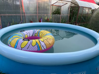 An inflatable pool with a colorful inner tube floats in clear water. The pool is situated in a yard, with a greenhouse visible in the background. The greenhouse contains rows of green plants. Purple and red gladioli flowers are planted in front of the greenhouse. The scene appears to be in the city of Surovka, Russia.