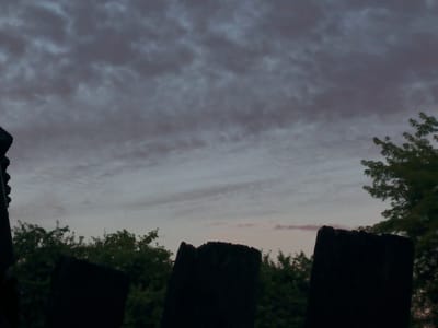 The image depicts a cloudy sky at dusk, with silhouettes of dark, jagged objects in the foreground, possibly fence posts or remnants of a structure. Green foliage of trees is visible behind these objects, stretching across the middle ground. The sky exhibits a gradient of colors, with darker gray clouds at the top transitioning to lighter shades of gray and hints of pink near the horizon. The overall mood is somber and atmospheric. The scene is located in Shestunikha, Russia.