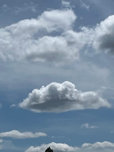 The image is a close-up, upward-facing shot of a cloudy sky. The sky is a light blue with various shades of white and gray clouds scattered throughout. The clouds vary in size and density, with some appearing fluffy and bright white, while others are darker and more ominous. A single, prominent cumulus cloud is centered in the mid-ground, appearing voluminous and textured. In the lower portion of the image, the tops of some dark green trees are visible, suggesting the shot was taken from ground level. The overall impression is that of a partly cloudy day. The location is specified as Velyka Bahachka, Ukraine, but there are no specific landmarks or context within the image to visually confirm this location.