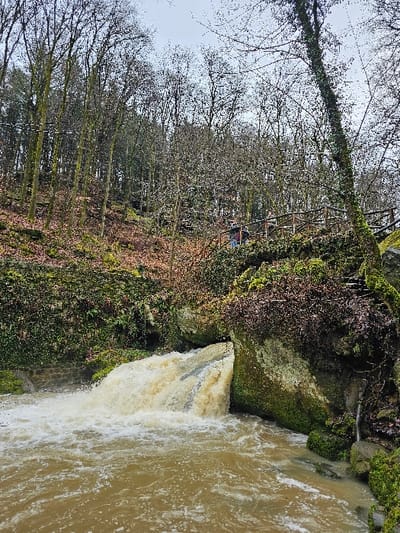 An outdoor scene in Waldbillig, Luxembourg, depicts a natural landscape featuring a watercourse and a pedestrian bridge under an overcast sky. A prominent volume of turbid, brownish-yellow water cascades from an opening within a moss-covered rock formation on the right side of the image, forming a waterfall that empties into a wider, equally turbid stream flowing towards the foreground. The water exhibits significant agitation. Above the waterfall and stream, a rustic wooden bridge with a visible wooden railing spans horizontally across the frame. Two individuals are present on this bridge. One individual, wearing dark clothing, stands positioned left of the bridge's center, facing generally towards the right. A second individual, partially obscured by the first and further right on the bridge, is wearing a red or maroon jacket. The surrounding environment consists of a steep hillside rising on the left and in the background, densely covered with numerous bare deciduous trees, indicative of late autumn or winter. The ground and rock formations along the stream banks are covered with brown leaf litter, moss, and various dark green foliage. The sky is uniformly light grey and overcast.