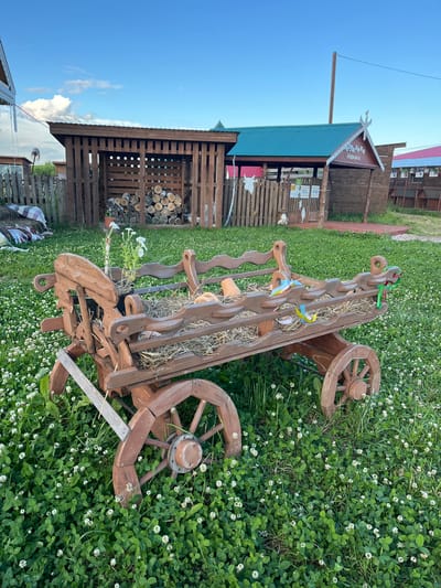 An outdoor scene in Vybolovo, Russia, features a rustic wooden wagon decorated with straw and flowers, positioned on a grassy area dotted with white clover. The wagon has decorative wooden wheels and appears to be a charming garden ornament.

In the background, several wooden structures are visible. One building has a green metal roof and decorative wooden accents at the gable. A sign in Cyrillic script, reading "Фермерское подворье" (Farmstead), is attached to this building. Adjacent to it is a wooden shed filled with neatly stacked firewood. Further structures and a wooden fence are also present, suggesting a rural or farm setting.

The sky is a clear, bright blue with a few scattered white clouds, indicating fair weather. The time of day appears to be late afternoon or early evening, given the quality of the light. The overall atmosphere is peaceful and idyllic, evoking a sense of country living. There are no people visible in the image. The focus is on the decorative wagon and the rustic rural landscape.