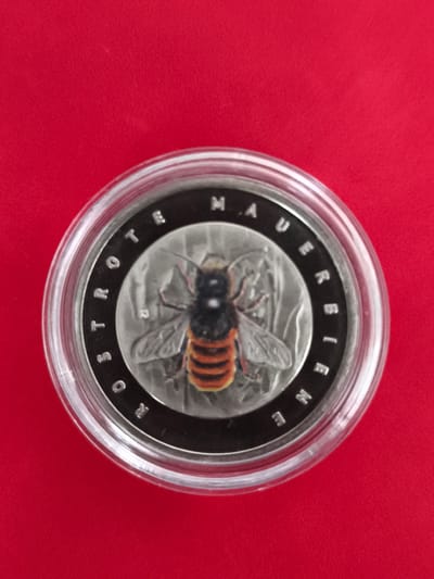 A close-up, top-down view shows a silver coin with a bee design encased in a clear plastic protective holder. The coin is centrally placed on a vibrant red, textured surface. The coin's obverse features a detailed illustration of a bee with orange and black stripes and translucent wings, positioned against a background with floral elements. Inscribed around the bee are the words "OSTROTE MAUERBIENE" in a circular pattern. The reverse of the coin, though not fully visible, is implied by the inscriptions on the obverse. The protective holder is transparent and circular, with a slightly raised edge. The red background appears to be fabric, possibly velvet or felt, with subtle variations in light and shadow. No people are present in the image. The image composition focuses solely on the coin and its immediate surroundings. The text on the coin indicates it is related to the "Mauerbiene" (Mason bee), a type of solitary bee. While the image itself does not depict Triberg im Schwarzwald, Germany, the inscription on the coin suggests a possible connection to the region or a theme associated with local fauna.
