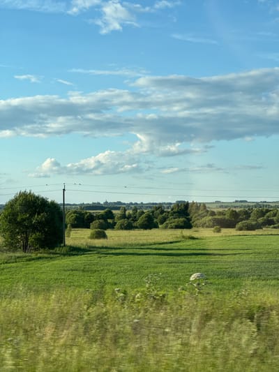 This media file depicts a rural landscape with a field and a sky. The scene is divided vertically, with the left side dominated by a bright blue sky filled with dramatic, wispy white clouds. The right side features a vibrant green field, possibly crops, stretching towards the horizon. A line of trees borders the field, creating a natural boundary. In the foreground, a single, dark green tree stands prominently. Several utility poles with wires are visible, with birds perched on the wires. A distant, hazy horizon suggests a flat, open terrain. One of the crop hints shows a light-colored object in the field, possibly a large rock or animal. The lighting suggests it is either early morning or late afternoon due to the long shadows cast across the field and the warm, soft light. The weather appears clear and pleasant. The overall impression is one of peaceful rural tranquility.