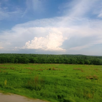 The image depicts a wide, pastoral landscape under a partly cloudy sky. In the foreground, a vibrant green meadow stretches across the frame, with some patches of dry grass and scattered vegetation. A blurred grey line, likely a road or pathway, runs along the bottom left edge of the image, suggesting movement or a viewpoint from a vehicle.

Dominating the middle ground is a dense line of dark green trees, forming a thick forest that extends horizontally across the horizon. Behind the forest, a massive, cauliflower-like cumulus cloud formation rises dramatically into the bright blue sky. The cloud is predominantly white and illuminated by sunlight, creating a striking contrast against the blue and the darker treeline. The sky itself is a mix of clear blue and wispy white clouds, with some streaks of light suggesting the sun's rays.

The scene is one of natural beauty and openness, with no human figures or man-made structures clearly visible beyond the implied road. The overall impression is serene and expansive, capturing a moment of natural grandeur. This image could potentially be located in the vicinity of Zelenyi Yar, Russia, given its description of a landscape featuring meadows, forests, and a vast sky.