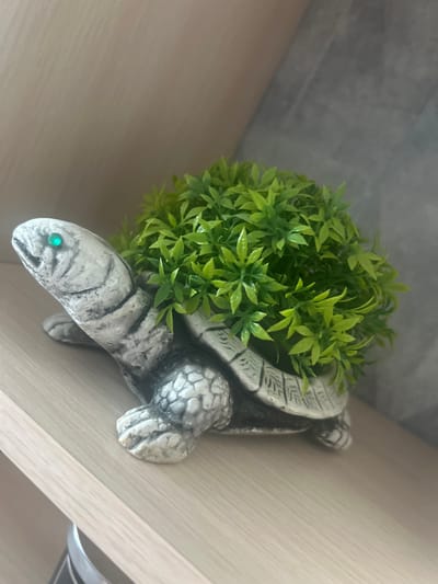 A decorative ceramic turtle planter with a bright green, bushy artificial plant sits on a light brown wooden shelf. The turtle's shell and body are gray with a textured, stone-like appearance and detailed lines suggesting scales. It has a single bright green eye. The background consists of a textured gray wall and a lighter brown wall, both appearing to be part of an indoor setting. The image does not provide any information about the city of Kokhma, Russia.