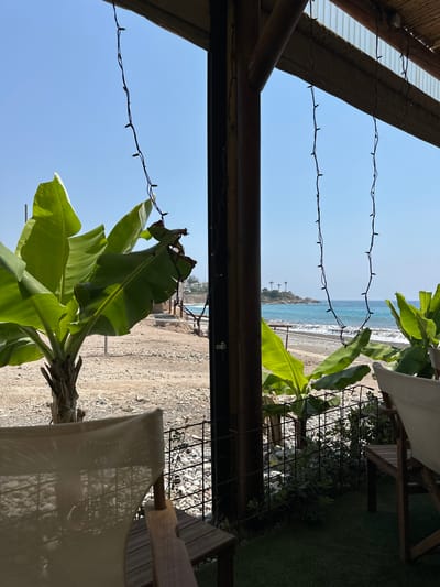 The image captures a view from a covered outdoor seating area looking towards a beach in Kissonerga Community, Cyprus. In the foreground, partially obscured by light-colored canvas chairs and wooden furniture, is a patch of artificial turf. A low, dark metal fence with a diamond pattern encloses some greenery and the rough, pebbly ground beyond. Banana trees with large, vibrant green leaves are prominent on the left and right sides of the frame.
Beyond the immediate foreground, a beach composed of light-colored stones and sand stretches towards the sea. In the middle ground, the turquoise Mediterranean Sea meets the shore with gentle waves. In the distance, a rocky outcrop with scattered buildings and several palm trees is visible on the horizon. A string of small, dark fairy lights hangs vertically in the foreground, with more strings visible further back. The sky is a clear, bright blue. The overall impression is a relaxed, sunny, and picturesque seaside location. There are no people visible in the image.