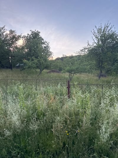 The image depicts a rural landscape with a wire fence running horizontally across the mid-ground. Beyond the fence, a field of tall grass and wildflowers is visible, with several trees scattered throughout. In the background, a gentle slope covered in vegetation rises towards the horizon under a pale blue sky with wispy clouds. The overall scene suggests a natural, untamed environment. The location is identified as Lisnyky, Ukraine.