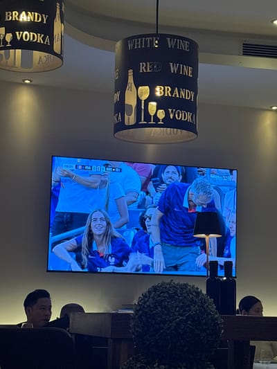 This media file shows a dimly lit interior scene, likely a bar or restaurant in Rüdesheim, Germany. The primary subjects are several people, some of whom are watching a television screen displaying a soccer match. The screen shows a close-up of the game, with a score graphic indicating "19:01 FRA 0-0 SWE". The people are seated or standing, and their expressions are not clearly discernible due to the lighting and angle.

Dominating the foreground are two cylindrical lampshades, one partially visible at the top left and the other at the bottom left. These lampshades are dark with gold lettering that reads "WHITE WINE", "RED WINE", "BRANDY", and "VODKA", along with graphics of wine bottles and glasses.

In the background, to the right, is a large, dark green spherical plant. Next to the plant, a portion of a dark wooden structure is visible, possibly a table or booth. Reflections on the dark surfaces suggest ambient lighting. The overall atmosphere appears relaxed and casual, with the focus on the television broadcast and the people's engagement with it. The time of day is not explicitly stated, but the dim lighting suggests it could be evening or nighttime.