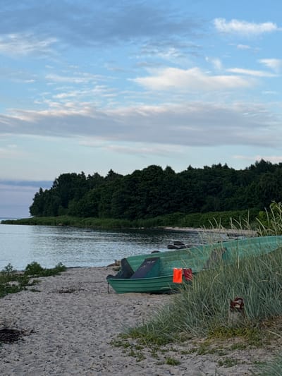 In Rohuneeme, Estonia, this image captures a tranquil coastal scene at dusk. A calm body of water, likely the Baltic Sea, gently laps against a sandy beach. The shoreline is fringed with lush green reeds and a dense forest of dark green trees forms a backdrop along the horizon. In the foreground, two green boats are resting on the sand. One boat is mostly visible, positioned parallel to the shore, with two red buoys or life vests hanging over its side. The other boat is partially obscured by the first. The sky above is a soft gradient of blues and grays, with scattered wisps of clouds. The overall impression is one of peacefulness and natural beauty.