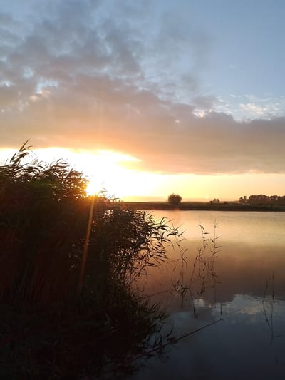 An outdoor, low-angle shot captures a serene sunset over a body of water in Свіслацкі сельскі Савет, Belarus. The foreground is dominated by dark, silhouetted reeds and grasses on the left, with the setting sun's bright rays piercing through them, creating a lens flare effect. The sky is a gradient of pale blue at the top, transitioning through soft oranges and yellows near the horizon, with scattered clouds tinged by the sunset's light. The water's surface is calm, reflecting the colors of the sky and the silhouettes of the reeds. In the distance, across the water, a treeline is visible, with a few scattered trees and what appear to be structures or vehicles. The overall atmosphere is peaceful and natural.
