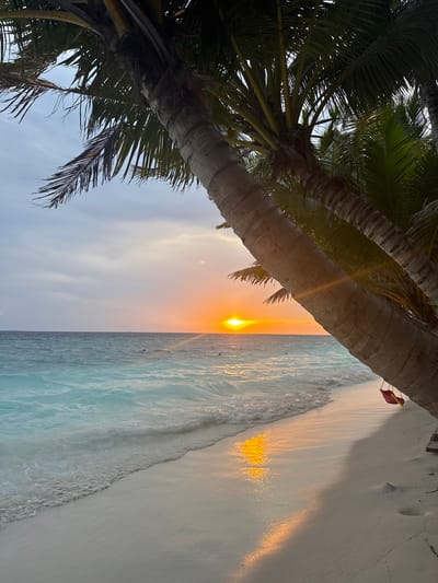 The image shows a view of a beach at sunset in Ukulhas, Maldives. A palm tree trunk and fronds are in the foreground, partially obscuring the sky and ocean. The sun is setting on the horizon, casting a golden light across the water and sand. Gentle waves are lapping onto the white sandy beach. In the distance, a person in red stands on the beach.