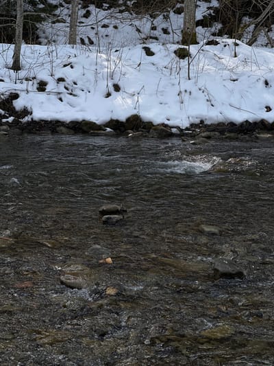 The scene depicts a natural winter environment in Korostiv, Ukraine. A flowing body of water, identified as a river, occupies the foreground and midground, exhibiting visible ripples and minor turbulence on its surface. Numerous submerged and partially submerged rocks of varying sizes are present within the riverbed. The far bank of the river is covered by an irregular layer of white snow, with areas of exposed dark soil and scattered bare branches and tree trunks emerging from the snow. The trees on the bank are deciduous and appear dormant. No human subjects or man-made structures are visible in the image.