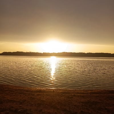 A serene sunset over a tranquil lake is depicted in this image. The sun, a brilliant white orb, is positioned near the horizon, casting a golden glow across the sky and the rippling water. The lake is vast, with a tree-lined silhouette of land visible on the opposite shore. The foreground features a sandy beach, with dry grass and small stones scattered across its surface. The overall atmosphere is peaceful and contemplative, evoking a sense of natural beauty and tranquility. The location is the lake in Jesenice, Czechia, during the late evening.