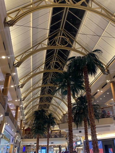 The image depicts the interior of a shopping mall, potentially located in Adrogué, Argentina. The dominant feature is a curving, arched ceiling structure made of golden metal supports with white, possibly translucent panels between the arches. Artificial palm trees with brown trunks and green fronds are positioned within the mall, appearing to intersect the ceiling structure. The lighting is warm and artificial, illuminating the mall's interior. Below, there are glimpses of retail spaces and possibly other mall levels, suggesting a multi-story building. No people are clearly visible. The architectural design has a somewhat retro or stylized aesthetic.