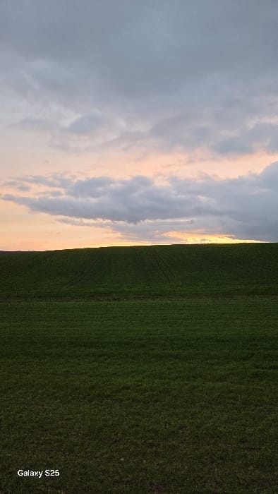 The image depicts a rural landscape, likely in the vicinity of Ottonville, France, under a cloudy sky at either dusk or dawn. The scene is dominated by a two-tiered green field. The foreground, occupying the lower third of the frame, consists of a dark green, dense grassy area. Above this, a gently sloping hill or elevated field continues the dark green hue, displaying faint, parallel linear depressions or tracks from agricultural activity. No individuals, animals, structures, or specific objects are present on the land. The sky, filling the upper two-thirds of the image, features a layered cloud cover. Upper clouds are dense and grey, while lower clouds near the horizon exhibit a gradient of soft orange, pink, and yellow hues, with a more intense yellow-orange glow visible towards the center-right along the horizon line. A "Galaxy S25" watermark is visible in the bottom left corner of the image.