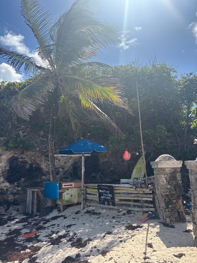 The image depicts a bright, sunny outdoor scene at a beachside location in Wellhouse, Barbados. The sky is a clear blue with scattered white clouds, and a strong sun flare is visible in the upper right quadrant.
In the foreground, a sandy beach is visible, partially covered with patches of dark brown seaweed. An orange plastic rake with a wooden handle lies on the sand in the lower left.
Dominating the left side of the frame is a tall palm tree with green fronds, casting some shadows. Behind the main structures, a rocky cliff face or heavily vegetated incline is visible, covered in dense green foliage and bushes.
At the center of the image, a rustic, makeshift beach bar or stall is constructed primarily from wood and recycled materials. The left section of this structure features a small blue beach umbrella providing shade. Beneath it, a dark blue cooler or box rests on a wooden base. To its right, a light-colored wooden panel displays a painted scene of green aquatic plants and small marine creatures, with a red arrow pointing right and a small red sign above it.
The right section of the stall consists of a wooden counter made from horizontal planks or logs. A black chalkboard sign, suspended from the counter, prominently displays "POSITIVE MENTAL ATTITUDE" in white text, with a small red logo above it. Behind this counter, a large quantity of stacked cylindrical objects, appearing to be empty aluminum cans or bottles, is organized. A yellow surfboard leans vertically against the back of the structure, to the right of the stacked items. A red buoy or float hangs from a rope near the surfboard, accompanied by a smaller, lighter colored hanging object. A tall, thin wooden pole extends vertically upwards from behind the counter.
On the far right, two weathered, light-colored stone pillars or posts, possibly part of a gate or entrance, stand on the sand. A pink flip-flop and a small blue object are visible on the sand near the base of the rightmost pillar. No individuals are present in the scene.