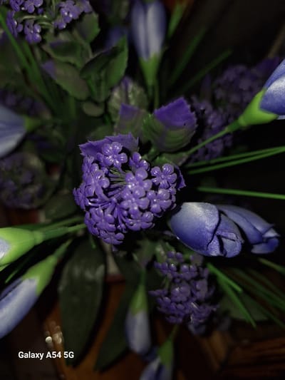 This is a close-up, overhead shot of a bouquet of artificial purple flowers with green stems and leaves. The flowers are varied in size and shape, with some appearing as small clusters of tiny petals and others as larger, unfurled buds. The background is dark and out of focus, with some hints of brown and orange colors visible, possibly from a vase or table. The lower left corner of the image contains the text "Galaxy A54 5G". There are no people or any discernible elements that would indicate the location of Charkhin, Uzbekistan.