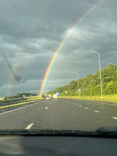 The image captures a dynamic scene on a highway, characterized by a dramatic sky and a vibrant rainbow. The primary subjects include the highway itself, a dense line of green trees bordering its right side, and a striking rainbow arcing across the predominantly grey, cloudy sky. Several streetlights with multiple fixtures are visible along the roadside, indicating an urban or semi-urban setting. Vehicles, including a white truck or RV, are seen driving on the highway, suggesting ongoing travel. The weather appears to be transitioning, with the presence of both dark clouds and the bright rainbow indicating recent or intermittent rain. The time of day is likely daytime, given the illumination, but the overcast conditions create a subdued light. The image has been oriented vertically, which may be a result of the capture method or post-processing. There are no visible people in the image. The overall impression is one of natural beauty emerging through potentially dramatic weather conditions during a journey.