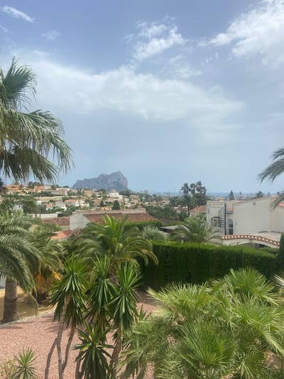 The image captures a panoramic view of Urbanització Les Cometes, Spain, from an elevated vantage point. In the foreground, lush palm trees and yucca plants dominate, with their fronds creating a natural frame. A pathway paved with reddish-brown gravel is visible to the left. Beyond the immediate foliage, a sprawling residential area unfolds, characterized by houses with terracotta roofs and white or light-colored facades.

In the middle ground, the town stretches out, a tapestry of buildings and greenery. Further in the distance, a prominent rock formation, likely a mountain or significant geological feature, stands tall against a hazy sky. The horizon is met by the sea and a distant city skyline, with numerous buildings of varying heights. The sky above is a mix of blue and scattered white clouds, suggesting a partly cloudy day. The overall impression is of a Mediterranean coastal town, bathed in daylight. No people are visible in the frame.