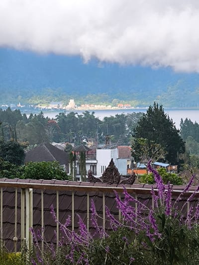 The image shows a scenic view in Candikuning, Indonesia. In the foreground, there's a tiled fence with blooming purple salvia plants in front of it. Beyond the fence, a mix of rooftops, trees, and buildings can be seen. In the background, there's a lake, with a town or village visible on the opposite shore. Further back, mountains are shrouded in clouds.