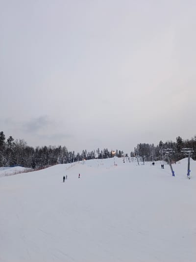 The image captures a wide view of a snow-covered ski slope under an overcast sky. The upper two-thirds of the frame are filled with a uniform, light grey sky, indicating a heavily clouded or overcast winter day, possibly nearing dusk given the artificial lights visible.
The lower third of the image is dominated by the expansive white snow of the ski slope, which appears to be groomed, though faint ski tracks are visible across its surface. Along the horizon, a dense line of trees, heavily dusted with snow, separates the sky from the ski area. This treeline consists of both dark evergreen conifers and some bare deciduous trees.
Various infrastructure typical of a ski resort is visible. On the right side of the slope, several prominent ski lift towers with blue accents stand against the snow. Further up the slope, extending towards the center, are multiple smaller pull-type ski lifts, likely T-bars or button lifts, with their support structures and cables visible. Artificial lights on poles are illuminated across different sections of the slope, casting a subtle glow, particularly around the lift areas. An orange safety net or fencing runs along the left edge of the groomed slope.
Several people are scattered across the slope, engaged in winter activities. Towards the left-middle of the slope, a person in dark clothing is standing on skis or a snowboard, accompanied by another individual in lighter attire nearby. Further down and to their right, a distinct figure in a bright red ski suit is visible, appearing to be skiing or standing. On the right side of the slope, closer to the large ski lift towers, a few small groups of people are seen standing or walking on the snow, possibly waiting for lifts or congregating.
The overall atmosphere is quiet and serene, characteristic of a winter day at a ski resort, with the soft, diffused light from the sky and the illuminated artificial lights providing visibility. There is no visible text in the image.