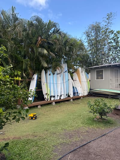 The image captures an outdoor scene in Hanalei, United States of America. A collection of approximately 25-30 surfboards, predominantly white with light blue, yellow, and green accents, are stored upright on a dark brown wooden rack elevated by concrete blocks, spanning the midground. A light blue rope secures the surfboards horizontally. To the immediate right of the surfboards, a single-story, light gray building with a dark roof is visible, featuring a rectangular window with white trim. Additional surfboards are stacked horizontally on a lower wooden platform beside the building. The background is dominated by dense tropical vegetation, primarily palm trees, with taller, slender bamboo-like trees extending upwards on the right. The foreground consists of a green grass lawn, where a small yellow and black toy dump truck is positioned on the left. A strip of darker ground, possibly gravel, with a black hose running across it, is visible in the bottom right corner. The sky is clear blue with minimal cloud cover. No individuals are present in the scene.