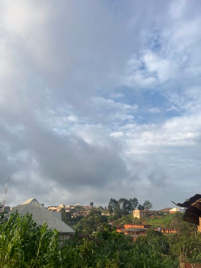 The image depicts a rural hillside settlement in Gembu, Nigeria, bathed in the soft light of what appears to be late afternoon or early evening. The scene is dominated by a mix of natural and man-made elements. Lush green vegetation, including what looks like tall corn stalks in the foreground, spills across the landscape, framing a cluster of buildings that ascend the gentle slope.
The structures are varied, with some appearing to be made of brick with terracotta roofs, while others have corrugated metal sheeting. A few taller, multi-story buildings are visible higher up the hill, interspersed with trees. The overall impression is of a densely populated, yet somewhat informal, residential area integrated with the natural environment.
Above the hillside, the sky is a canvas of clouds. Some areas show patches of blue sky, suggesting the sun might be breaking through, while other parts are covered by heavier, grayer clouds. This cloud cover hints at potentially dynamic weather, perhaps the transition into or out of a rain shower, common in tropical regions.
The image is taken from a low angle, looking up towards the settlement and the sky, giving a sense of depth and scale. The composition suggests a moment of quiet observation, perhaps capturing the end of a day's activities. There is no visible text in the image, and no people or specific events are discernible, focusing instead on the broader landscape and atmosphere of the location.