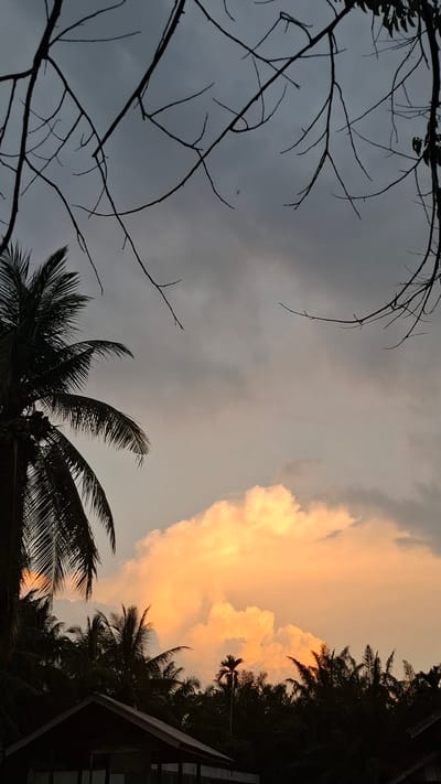 In the city of Grong-grong, Indonesia, a twilight scene unfolds. The sky is a blend of muted gray and soft orange hues, illuminated by the setting sun which casts a warm glow on a cluster of large, fluffy clouds. Silhouetted against the sky are the stark, leafless branches of a tree in the foreground, their intricate patterns creating a natural frame.
To the left, the dark silhouette of a coconut palm tree dominates the frame, its fronds reaching towards the sky. Below the tree line, the dark shapes of buildings with pitched roofs are visible, suggesting a residential or communal area. Interspersed with the coconut palms are other tropical trees, their foliage creating a dense, dark band across the lower portion of the image. The overall atmosphere is serene, capturing the transition from day to night in a tropical landscape.