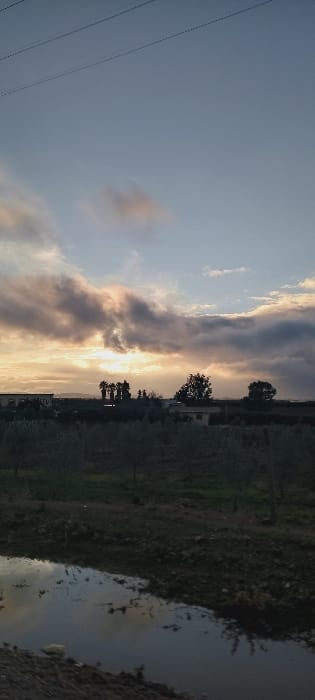The image presents a rural landscape in Ait Naamane, Morocco, during late afternoon or early evening. The upper portion of the frame captures a light blue sky with a significant presence of altostratus clouds, some illuminated by a low-lying sun casting orange, yellow, and grey hues, while others remain dark. Three parallel power lines are visible spanning the top left section of the sky.

The midground features a distant horizon with faint mountainous terrain. Against the brightened sky, a band of silhouetted trees, including several palm trees and other broadleaf species, is visible. Scattered among this vegetation are indistinct, low-rise buildings, including one light-colored structure with a darker roof. The ground in this section consists of dark green and brown vegetation, indicative of fields or orchards.

The foreground is dominated by a dark body of water, resembling a stream or irrigation ditch, reflecting the sky and clouds. The banks of this water body are composed of dark, uneven earth with sparse green foliage. The immediate bottom of the frame shows dark, coarse ground. No human subjects, animals, or specific actions are depicted.