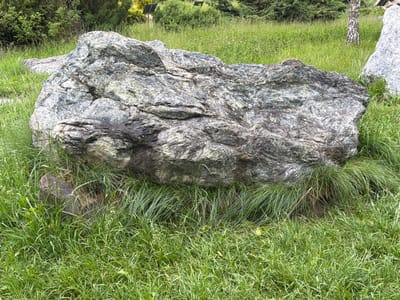 This media file depicts a large, rough, grey boulder situated in a grassy area. The boulder is the central subject, with its textured surface and irregular shape clearly visible. Surrounding the boulder is lush green grass, some of which is long and wispy, partially obscuring smaller rocks at the base of the main boulder. In the background, there are trees and foliage, creating a natural, outdoor setting. The lighting suggests it is daytime, and the overall impression is one of a peaceful, natural landscape. There is no visible text or discernable activity taking place; it is a still image of a geological formation within a verdant environment. The scene appears to be a park or a natural reserve, given the presence of what might be signage or decorative elements among the trees in the distance, partially obscured by vegetation.