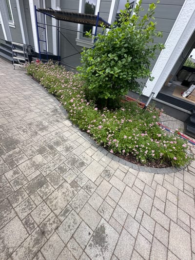 The image shows a paved walkway made of grey rectangular stones. A flowerbed with numerous small pink flowers and a green shrub borders the walkway. In the background, a modern house with grey siding and white trim is visible. Scaffolding is set up against the side of the house, suggesting construction or maintenance work. Red and blue hoses are also present near the flowerbed. The scene appears to be an exterior residential setting in Uyut, Russia. There are no people visible in the image.